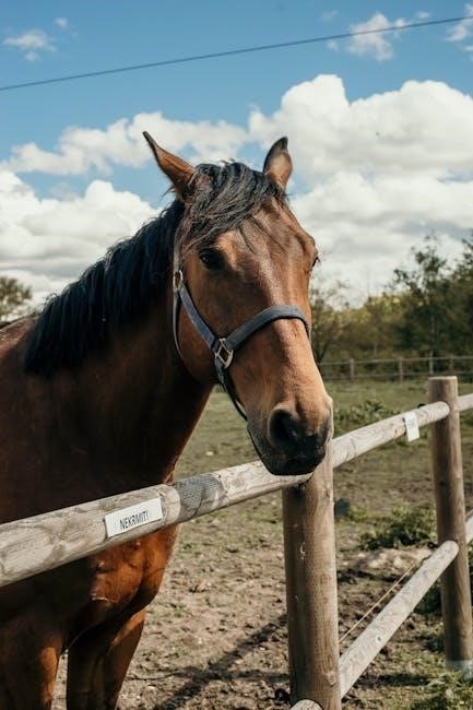 printable free rocking horse plans pdf